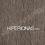 HIPERIONAS-LMDP-rastai-351