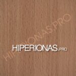 HIPERIONAS-LMDP-rastai-381