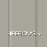 HIPERIONAS-1 Gilaus 3D frezavimo klasikinis raštas MDF ir Okoumes lauko durų skydams